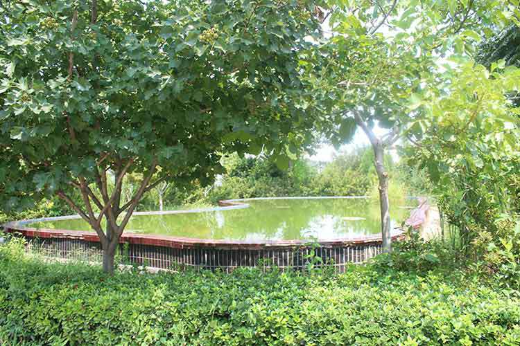 开云·官方网站登陆入口-开云(中国)机械厂区环境优美